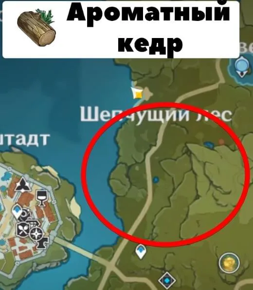 Второе место, где можно найти Ароматный кедр на карте в Genshin Impact (Геншин Импакт)