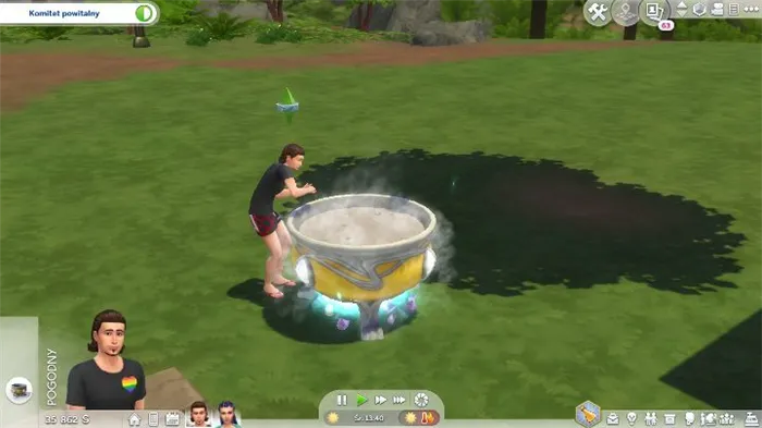 Руководство по Sims 4: Волшебное королевство