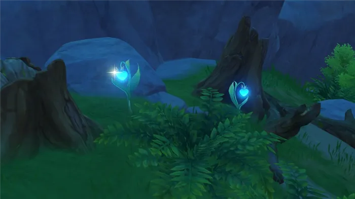 Трава светяшка в Genshin impact: где находится, у кого купить, как вырастить самому